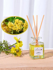 50ml Aromatherapy Diffuser – Romantic Essential Oil Gift Set - Passion Pulse Adult