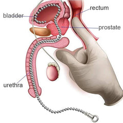 Mythical Beast Fantasy Dildo with Suction Cup Base - Realistic Horse, Dragon, and Monster Design for BDSM Play, Solo Use, or Couples Exploration - Passion Pulse Adult