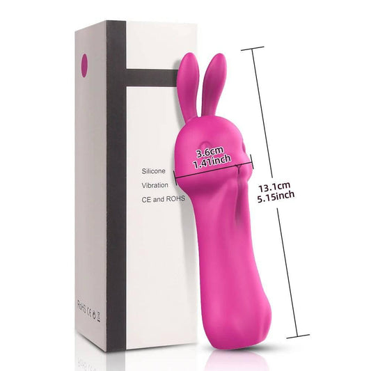 Rabbit Vibrator with Sucking Function - Passion Pulse Adult