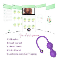 Wireless APP Bluetooth Vibrator for Women - Passion Pulse Adult