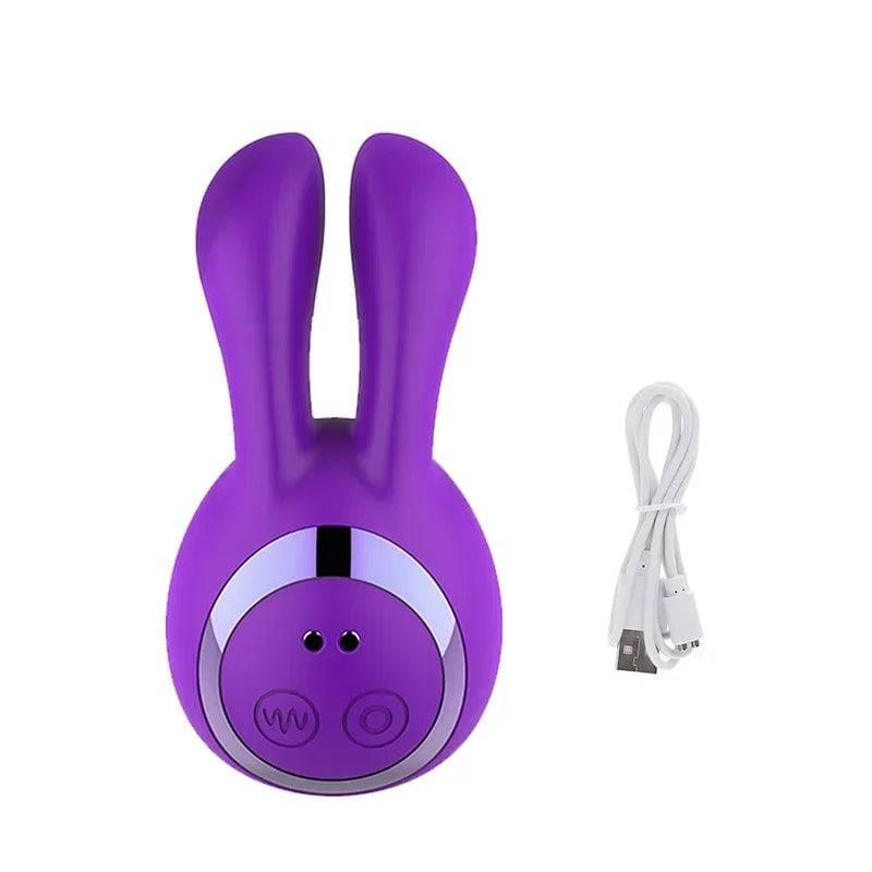 2-in-1 Clit-Sucking Rabbit Vibrator - Passion Pulse Adult
