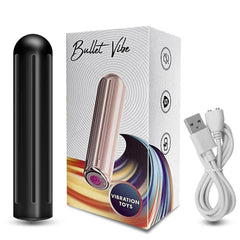 10-Speed Mini Bullet Vibrator - Passion Pulse Adult