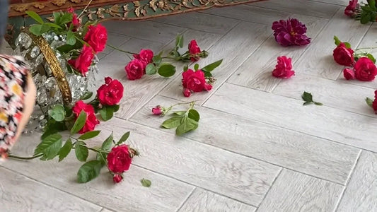 Your Star Sign’s Guide to the Most Pleasurable Sexy Positions - Passion Pulse Adult