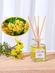 50ml Aromatherapy Diffuser – Romantic Essential Oil Gift Set - Passion Pulse Adult