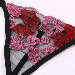 Sexy Hollow Lace Lingerie Temptation - Passion Pulse Adult