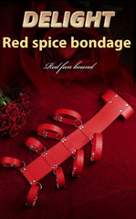 SM Reverse Back Bondage Set - Passion Pulse Adult