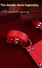 SM Reverse Back Bondage Set - Passion Pulse Adult