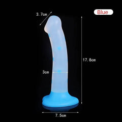 Cute Jelly Dildos – Beginner-Friendly Strap-On Anal Plug for Women & Couples - Passion Pulse Adult