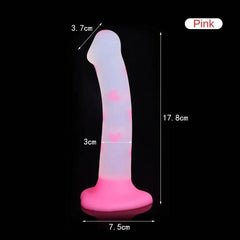 Cute Jelly Dildos – Beginner-Friendly Strap-On Anal Plug for Women & Couples - Passion Pulse Adult
