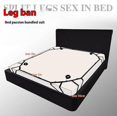 SM Handcuffs and Ankle Cuffs Bondage Toy with Ball Gag and Nipple Clamps - Passion Pulse Adult