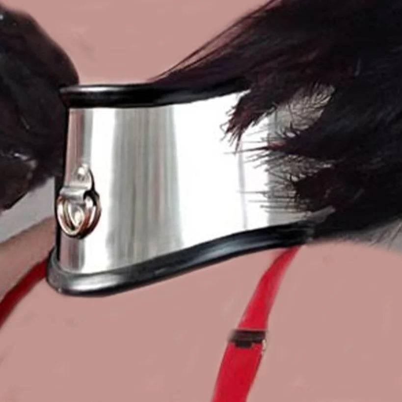 Lockable Stainless Steel Neck Collar | BDSM Bondage Fetish Dog Collar | Secure Neck Harness for Men and Women - Passion Pulse Adult