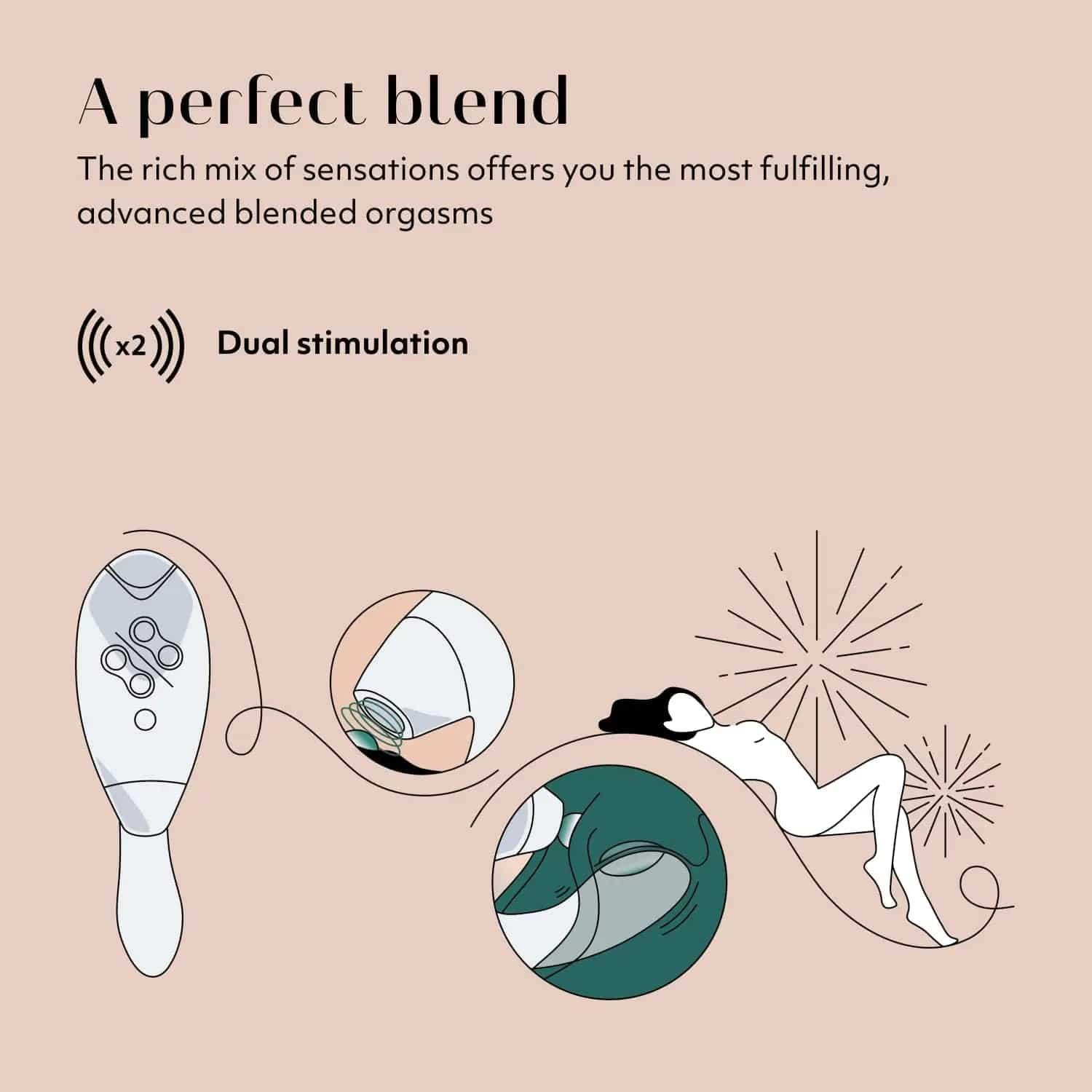 Womanizer Duo 2 Clitoral Sucking Rabbit Vibrator - Passion Pulse Adult