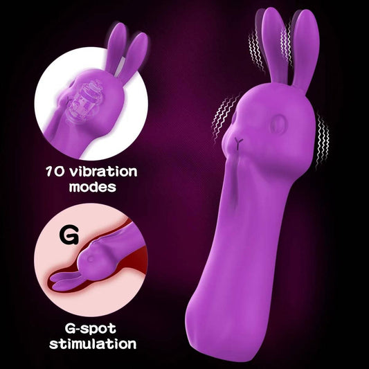 Rabbit Vibrator with Sucking Function - Passion Pulse Adult