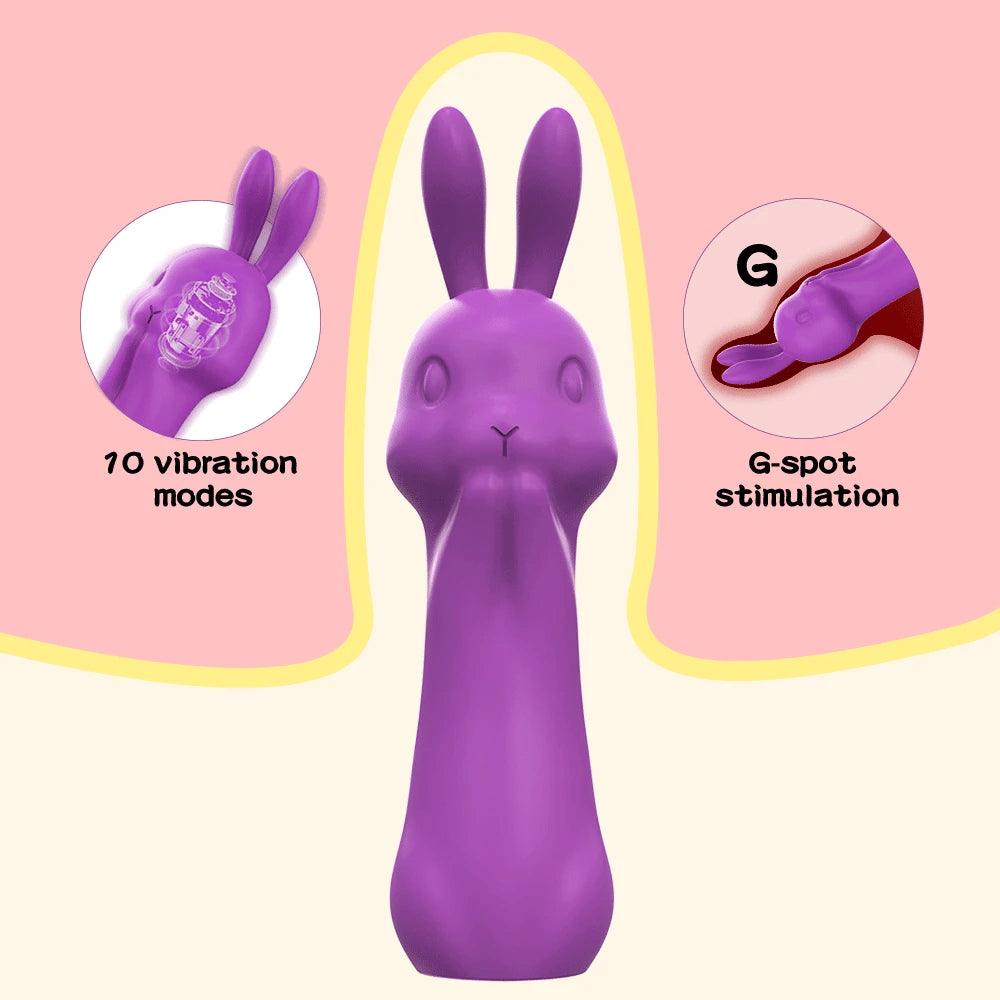 Rabbit Vibrator with Sucking Function - Passion Pulse Adult