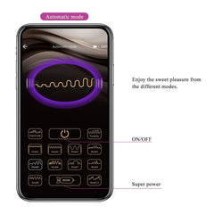 Pretty Love Bluetooth Wireless Vibrator - APP Control for Clitoral & G-Spot - Passion Pulse Adult
