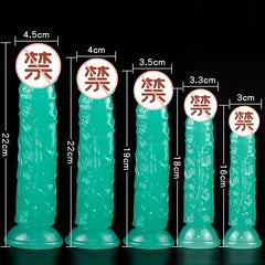 Luminous Realistic Dildo – S/M/L/XL/XXL Sizes with Suction Cup for Women & Couples - Passion Pulse Adult